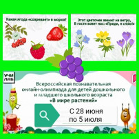 В мире растений В мире растений.