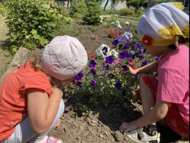 Летняя прогулка в доу Летняя прогулка в доу.