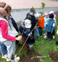 Акция «Посади деревце» Акция «Посади деревце».